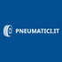 Pneumatici.it
