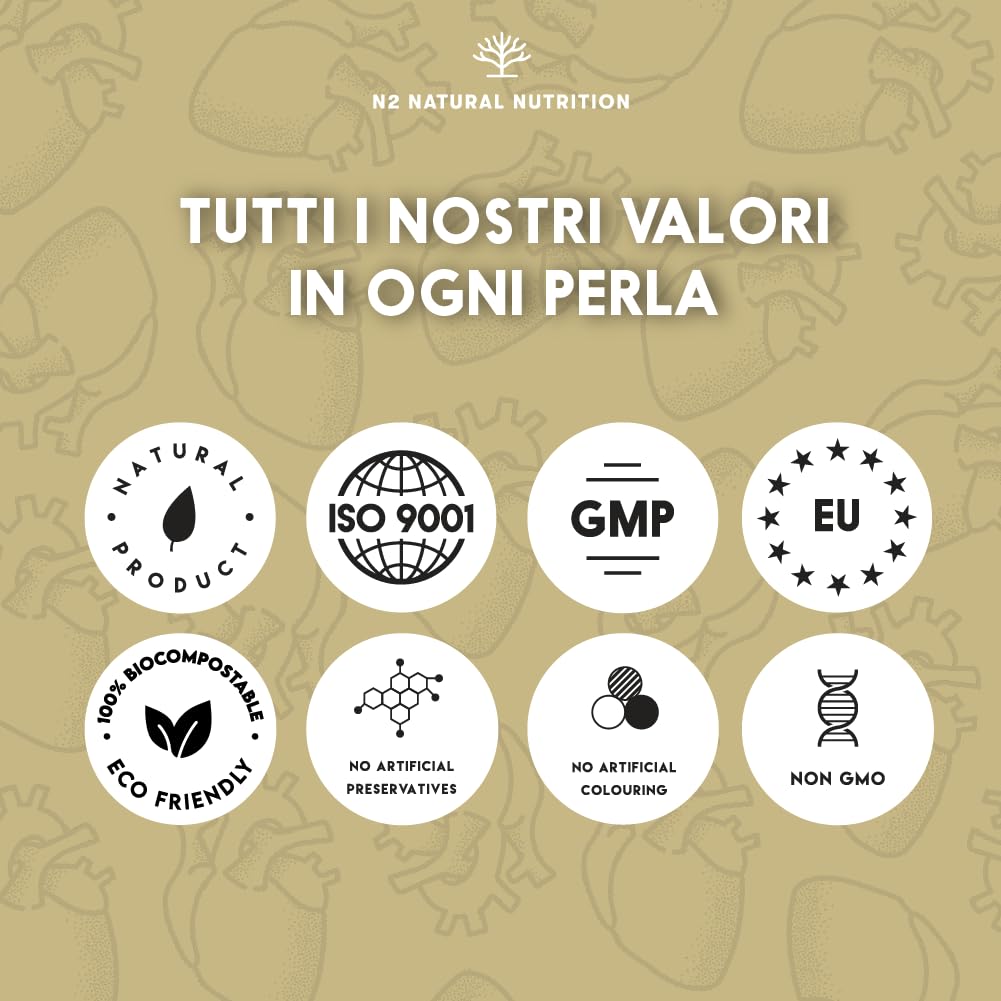 Omega 3 Olio di Pesce 2000 mg. 700 mg EPA e 500 mg DHA Alto Dosaggio. Integratore Omega 3 con Vitamina E. Vista, Cervello e Cuore. 120 Softgel di Fish Oil. N2 Natural Nutrition