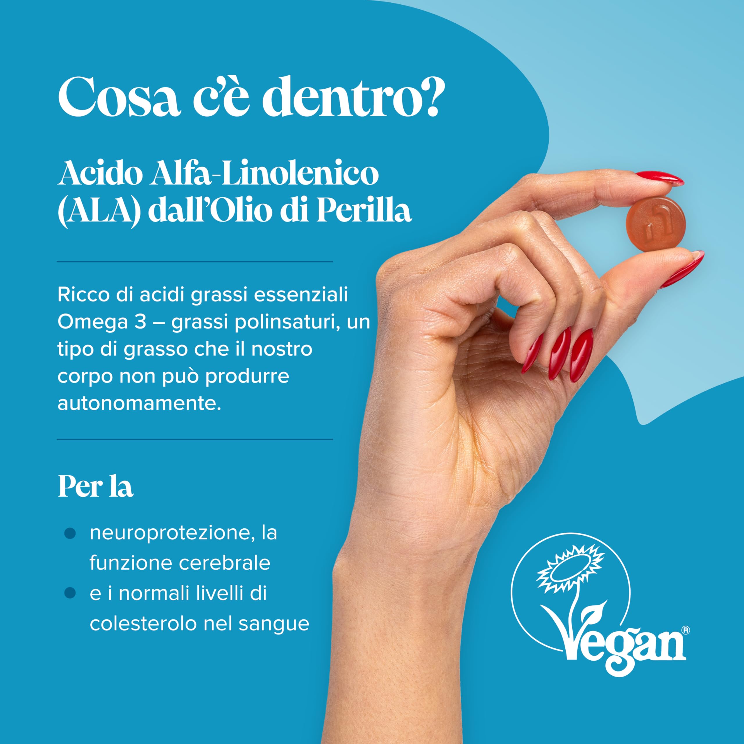 Gommose Omega 3 6 9 - Fornitura 1 Mese – Integratore Multivitaminico per Cuore Mente Occhi - Per Vegani e Vegetariani - Omega 3 6 9 Masticabile – Alternativa Vegan Olio di Pesce - Novomins