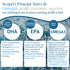 Omega 3-500 Capsule - 2000mg Di Olio Di Pesce Purissimo per Dose In Forma Trigliceride (TG) Per Un Assorbimento Del 70% In Più - 600mg di EPA e DHA per Dose – Con Vitamina E