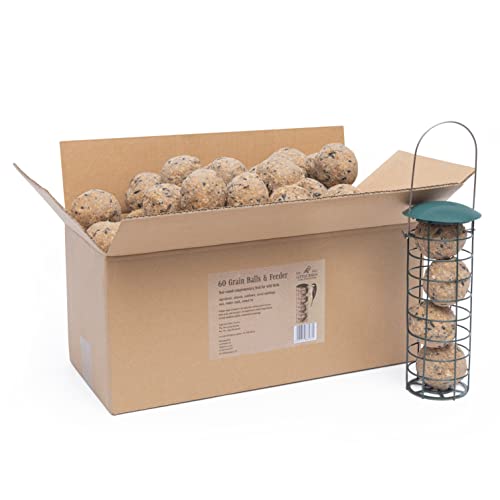 60 Palline Di Grasso Per Uccelli Selvatici Con Mangiatoia Per Uccelli - Cibo Uccelli Selvatici con Mangiatoia Per Uccellini Da Esterno 21x7 cm - Cibo Adatto Come Alimento Per Tutto L'anno