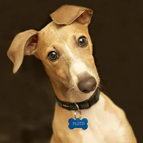 Targhetta personalizzata - incisione laser - ciondolo personalizzato - portachiavi personalizzato - Medagliette per Cani e Gatti Personalizzate - Pendente con Testo, ideale come regalo Made in Italy - 8earn