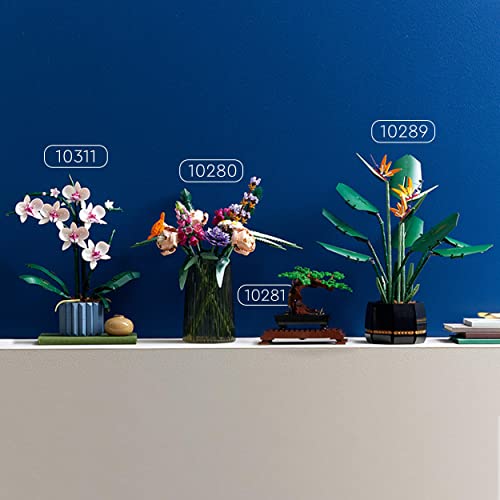 LEGO 10311 Icons Orchidea, Set per Adulti da Collezione, Modellismo e Hobby Creativi, Modellino da Costruire con Fiori Finti, Idea Regalo per Adulti - 8earn