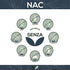 Sanutrition® - NAC 600 mg per capsula | 180 capsule | N-acetil L-cisteina ad alto dosaggio | vegano | aminoacido da fermentazione
