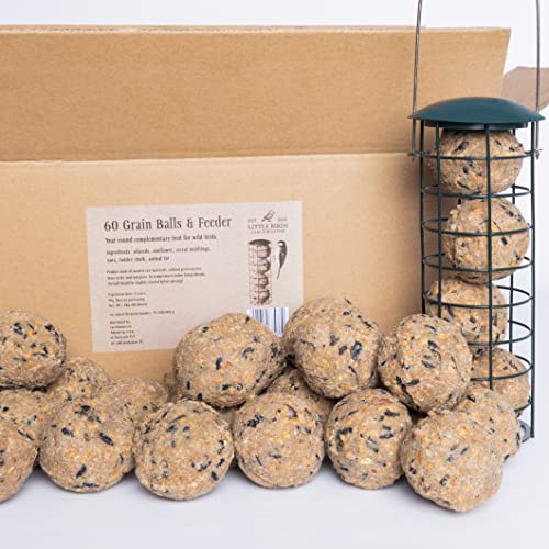 60 Palline Di Grasso Per Uccelli Selvatici Con Mangiatoia Per Uccelli - Cibo Uccelli Selvatici con Mangiatoia Per Uccellini Da Esterno 21x7 cm - Cibo Adatto Come Alimento Per Tutto L'anno