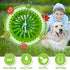 Pulisci Zampe Cane,Pulitore Zampe Per Cani, Portatile Pulitore Della Zampa Cane, Pulitore Zampe Per Animali Domestici Per La Pulizia Di Artigli Sporchi Di Animali Domestici/Toelettatura (verde) - 8earn