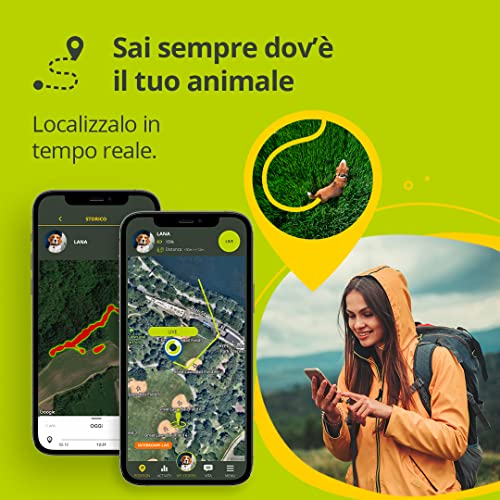 Kippy Evo - GPS Collar for Dogs and Cats with Tracker and Tracker of Activity and Health Status - Accessories for Dogs and Cats - with Long-Lasting Battery and LED Flashlight - Green