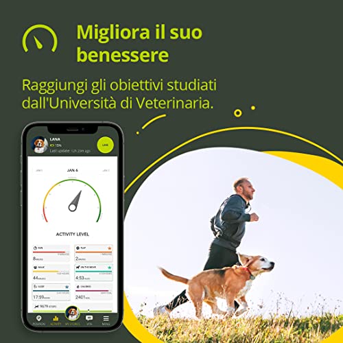 Kippy Evo - GPS Collar for Dogs and Cats with Tracker and Tracker of Activity and Health Status - Accessories for Dogs and Cats - with Long-Lasting Battery and LED Flashlight - Green