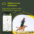 Kippy Evo - GPS Collar for Dogs and Cats with Tracker and Tracker of Activity and Health Status - Accessories for Dogs and Cats - with Long-Lasting Battery and LED Flashlight - Green