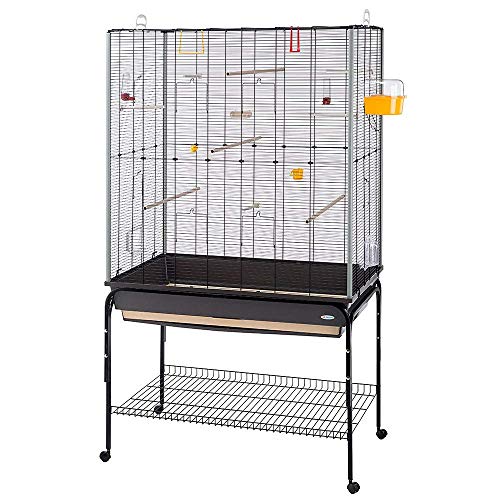 Ferplast Gabbia Spaziosa per Canarini, Cocorite e Uccelli Esotici Planeta, con Accessori, Supporto Portaoggetti con Ruote, Metallo Verniciato Nero, Fondo in Plastica Marrone, 97 X 58 X H 173,5 cm