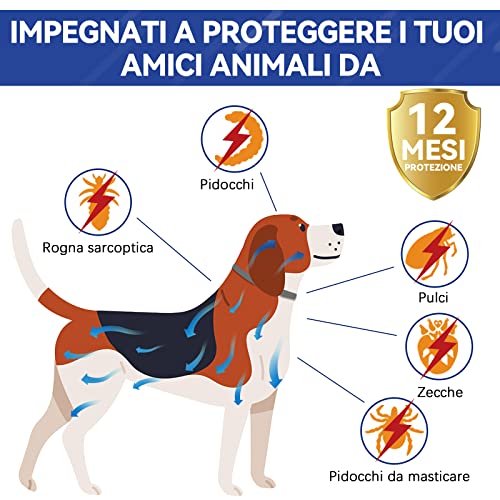 Collare Antiparassitario Per Cani, Collare Antipulci Cane Sicuro Ed Efficace Composto Da Oli Essenziali Naturali Al 100%, Efficacia 12 Mesi 65cm Collare Antizecche Per Cani Per Cani Di Tutte Le Taglie - 8earn