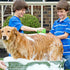 Pulisci Zampe Cane,Pulitore Zampe Per Cani, Portatile Pulitore Della Zampa Cane, Pulitore Zampe Per Animali Domestici Per La Pulizia Di Artigli Sporchi Di Animali Domestici/Toelettatura (verde) - 8earn