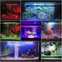 Eyeleaf Luce Acquario Led con Timer Telecomando Lampada Acquario Led 18 cm RGB Dimmerabile per Acqua Dolce Impermeabile IP68 - 8earn